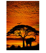 ** African scenery **